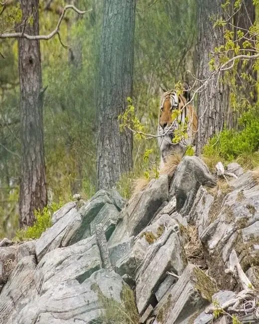 emigrate-to-norway-1